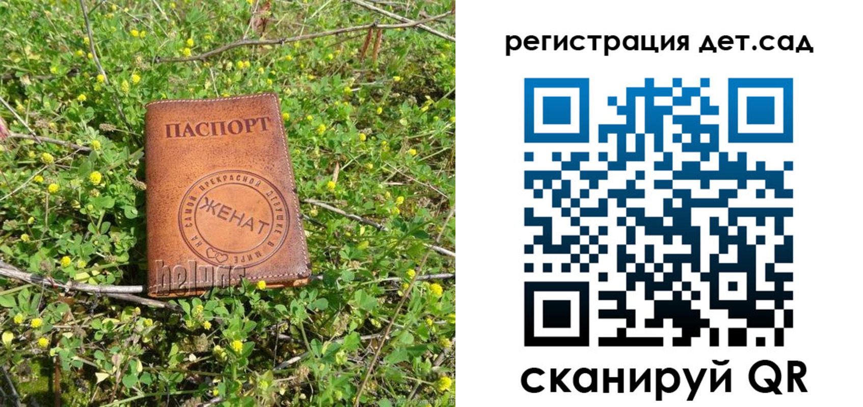 временная регистрация надежно в Алексеевке